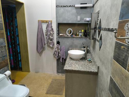a bathroom with a sink and a toilet at Lodge jaguarjundi in Zancudo