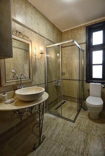 a bathroom with a shower and a sink and a toilet at Queen Maria Estate Apartments Winery Restaurant in Demir Kapija