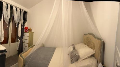 une chambre avec un lit avec moustiquaire dans l'établissement CARCASSONNE Studio avec Jacuzzi y piscina, à Carcassonne
