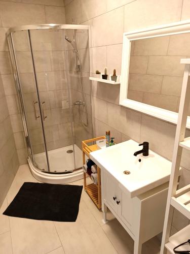 a bathroom with a shower and a sink and a toilet at Apartments Romantic and Family Room Zemlinski in Payerbach