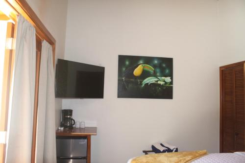 TV a/nebo společenská místnost v ubytování Pur Private Suites