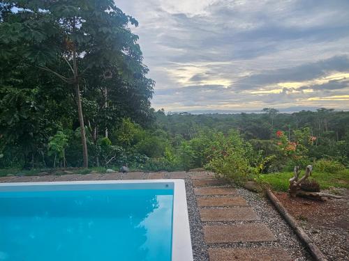 a swimming pool with a view of a forest at Lodge jaguarjundi in Zancudo