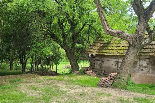 an old stone building with a tree next to it at Ötbárány Vendégház in Bezeréd