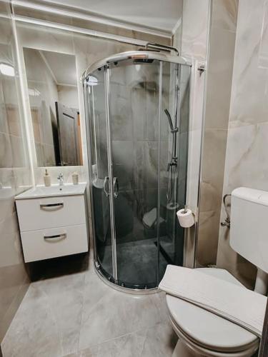 a bathroom with a shower and a toilet and a sink at AGOLL Victoria - self checkin in Reşiţa