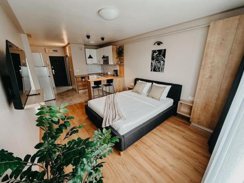 a small bedroom with a bed and a kitchen at AGOLL Victoria - self checkin in Reşiţa