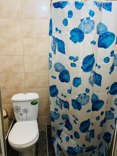 a bathroom with a toilet and a blue and white shower curtain at Agropensiunea La Prisaca in Orhei