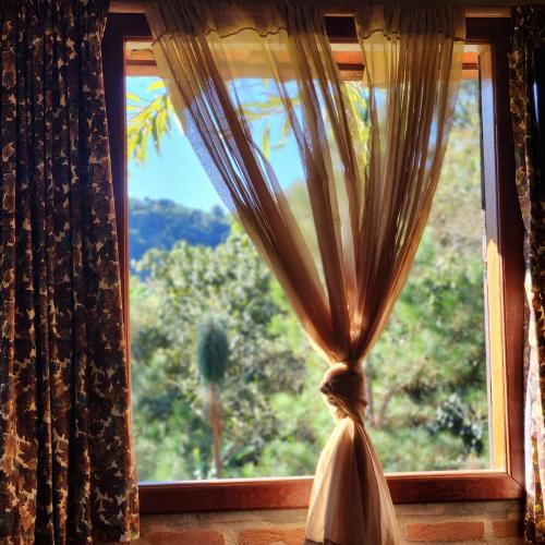 a curtain in a window with a view of a tree at Pousada Vale Monte Azul in Santo Antônio do Pinhal