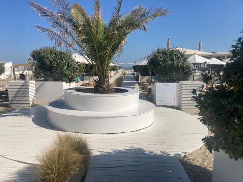 a palm tree in a white planter on a walkway at Appartement met zicht op zee in Knokke-Heist
