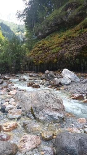 a river with rocks and trees on a hill at Haus Dienten Top 11 in Dienten am Hochkönig