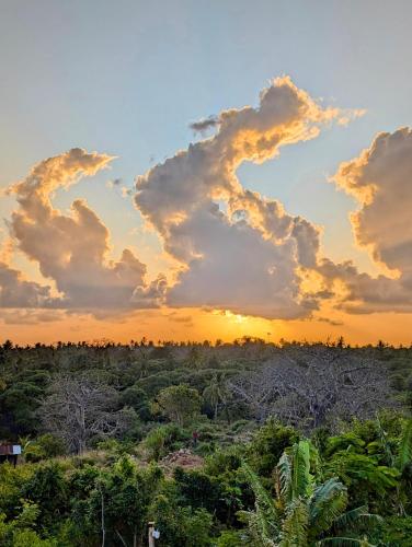 a sunset in the jungle with clouds in the sky at MONKEY MOUNTAIN LODGE in Mtende
