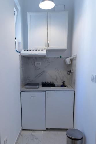 Cuina o zona de cuina de DOWNTOWN STUDIO AP