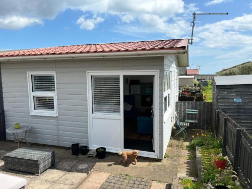 a dog standing in front of a small shed at 33B South Shore Village in Bridlington