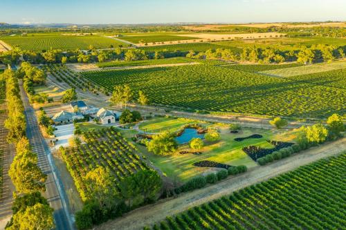 an aerial view of a vineyard with trees and a road at Pirathon Country Estate in Tanunda