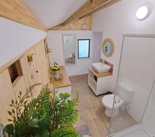 a bathroom with a toilet and a sink and a mirror at SOH Simple Accommodation in Kloof