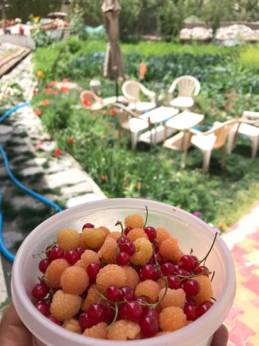 a person holding a bowl of berries and cherries at Sponbo Guest House, Leh in Leh