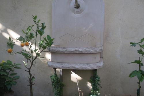 a stone fountain in a wall with some plants at tombe la nèfle in Avignon
