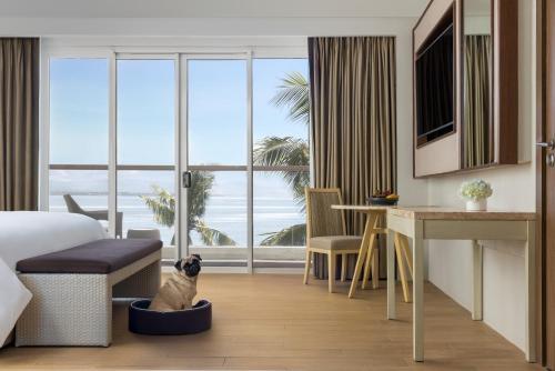 una habitación con un perro sentado en una cama de perro en una habitación de hotel en Dusit Thani Mactan Cebu Resort, en Mactan