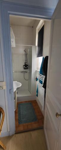 La petite salle de bains est pourvue d'une douche et d'un lavabo. dans l'établissement Appartement Cosy hyper centre Villers, à Villers-sur-Mer