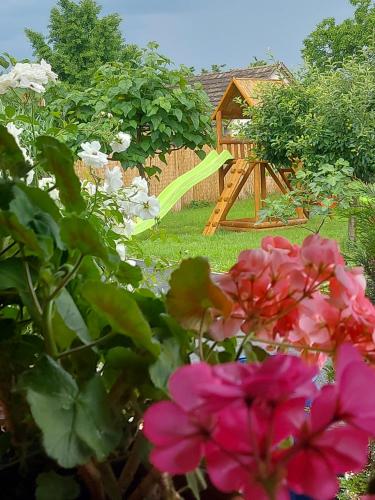 Pacsirta Vendégház