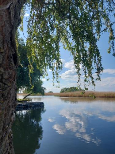 a view of a lake with a dock at Pacsirta Vendégház in Tiszaderzs