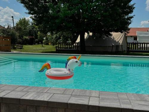 a toy duck in the water in a swimming pool at Tiszaglamping, the belgian hideaway in Tiszacsege