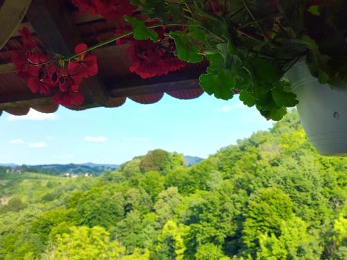 a view of a forest with flowers hanging from a roof at Ruralna kuća za odmor Brezanka, Zagrebačka ulica 21 Gornja Stubica in Gornja Stubica