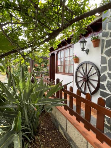 Vườn quanh Casa colon