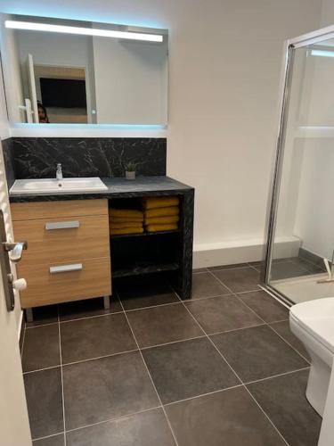 une salle de bain avec un lavabo et un miroir dans l'établissement Disney suite moderne Chessy Parking Gratuit, à Chessy