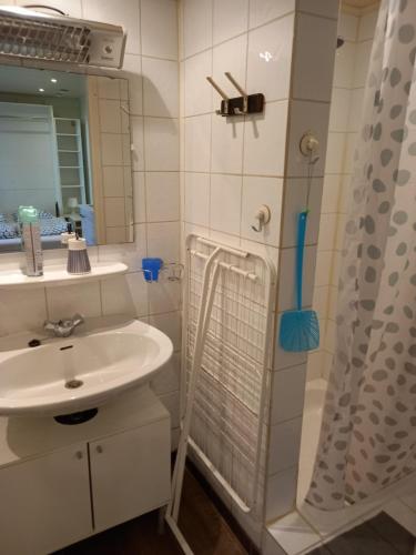a bathroom with a sink and a shower at Studio Ceder 1 in Houthalen-Helchteren