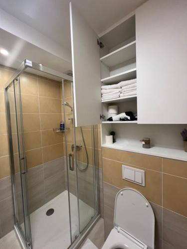 a bathroom with a shower stall and a toilet at Apartmani VinVucko Jahorina u sklopu aparthotela Vucko privatni apartmani in Jahorina