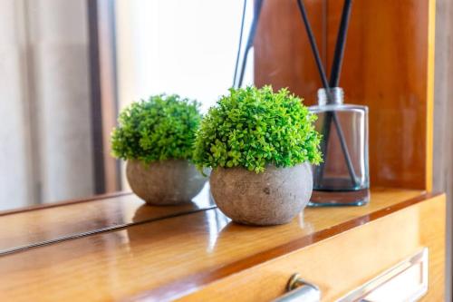 two potted plants sitting on a wooden shelf at Appartamento Confortevole, Wi-Fi & Colazione Free in Lanusei