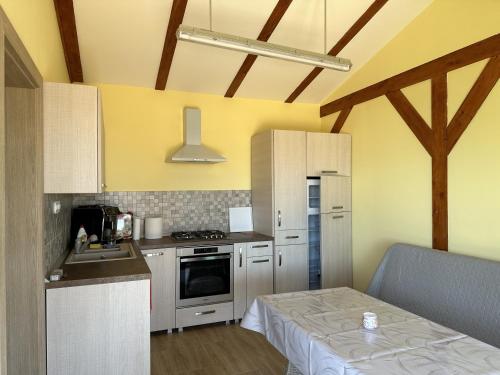 a kitchen with a sink and a stove top oven at Casuta MARI in Săldăbagiu de Munte