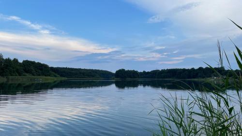 a view of a lake with trees in the background at Ferienhaus Weisdin in Weisdin