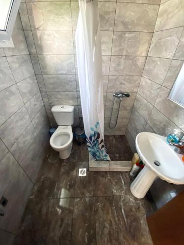 a bathroom with a toilet and a sink at Σπίτι στα Έλατα in Palaiochórion
