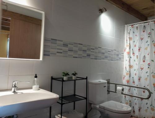 a bathroom with a sink and a toilet and a mirror at La casona del Pantano in Los Campos
