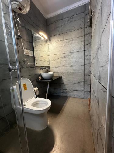 a bathroom with a toilet and a sink at Srinagar Luxury Escape - Dilan Residency in Srinagar