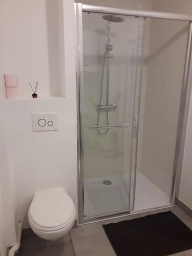 une salle de bain avec toilettes et douche en verre dans l'établissement Louthalia Congrès centre ville, à Reims