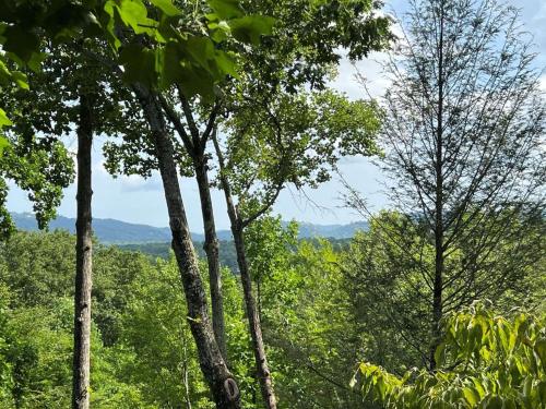 a group of trees with mountains in the background at Restoration Retreat at Greenbrier cabin in Sevierville