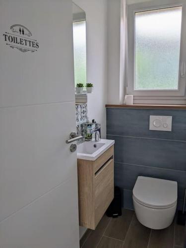 ein Badezimmer mit Toilette und Waschbecken und einem Fenster in der Unterkunft Gîte La Planquette in Puygouzon-et-Montsalvy