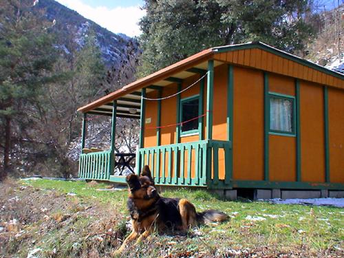 chalet-bungalow ombragé