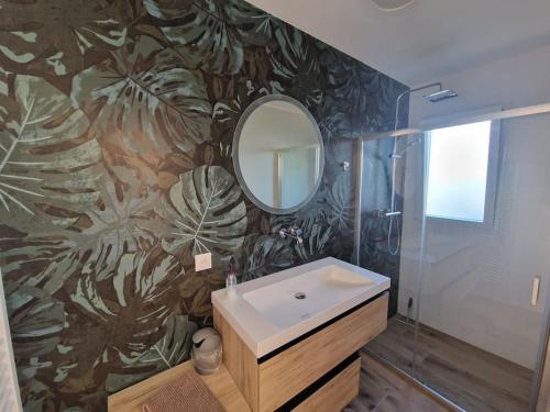 une salle de bain avec un lavabo et un miroir dans l'établissement Les Zèbres- Wifi-Jacuzzi-Vélos-Ecran plat- Chambres parentales- Baignoire, à La Rochelle