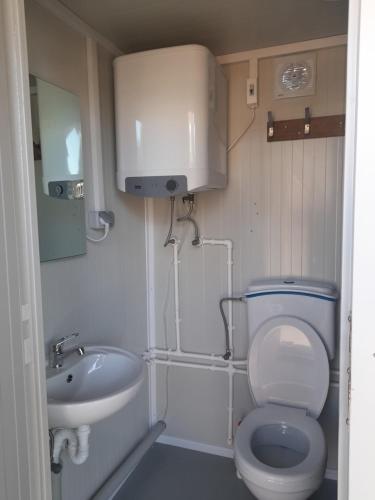 a small bathroom with a toilet and a sink at De Ganz in Grafhorst