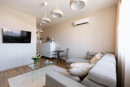 TV a/nebo společenská místnost v ubytování Vimini Apartman