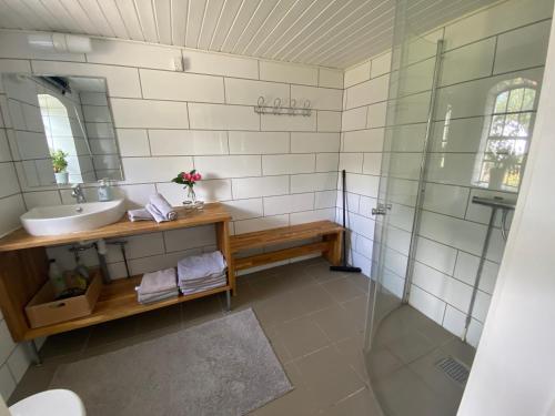 a bathroom with a sink and a shower at Stutteri Skandihest Apartments in Billund