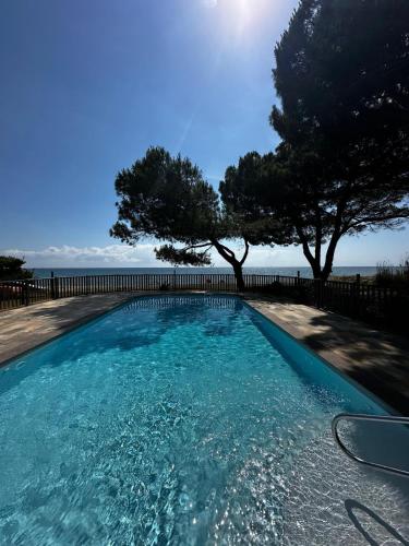 une piscine avec des arbres et l'océan en arrière-plan dans l'établissement A CASA DI SPIAGGIA, à San-Nicolao