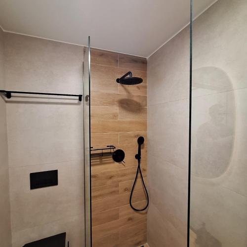 a shower with a glass door in a bathroom at Grandsold in Vasiliki