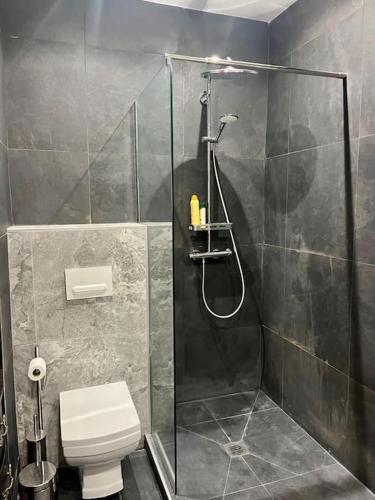 une salle de bain avec douche et toilettes dans l'établissement Vera Nizza, à Nice