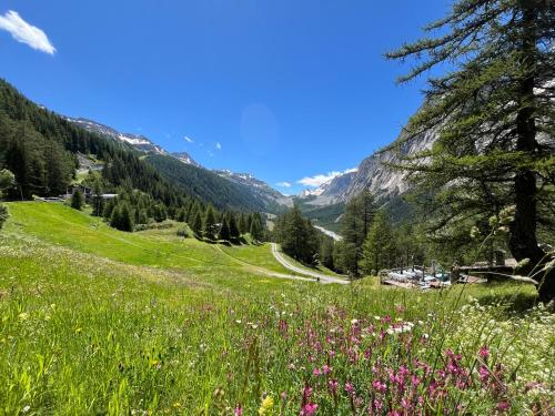 a field of flowers on a mountain with a road at Chalet Chez Louis - Alpine Charm with Mont Blanc View & Ski Access in Courmayeur