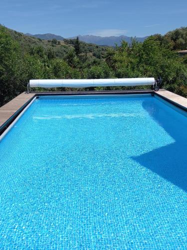 L'AMANDIER -LE FIGUIER-LES LAURIERS ROSES