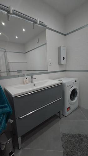 a bathroom with a sink and a washing machine at Bukowska House in Sulechów